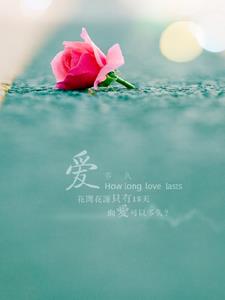 我爱你不是因为你爱我+后续小说阅读