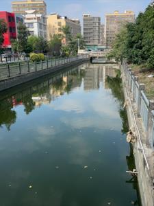 重生之过好自己后续+番外