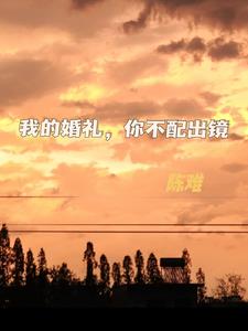 我的婚礼，你不配出镜后续+番外