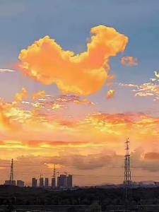 重生复仇(夜月五十弦)阅读