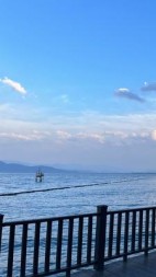 我怀孕了，我老公却设计将我害死+后续