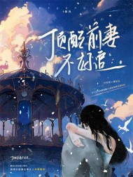 顶配前妻不好追(十黎)阅读