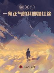 巅峰：一身正气的我脚踏红途！小说阅读