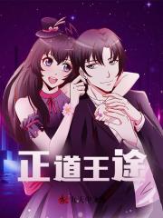 正道王途阅读小说阅读