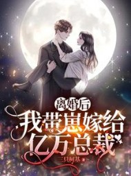 离婚后，我带崽嫁给亿万总裁小说阅读