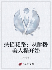 扶摇花路：从醉卧美人榻开始小说阅读