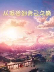 从低谷到青云之巅最新