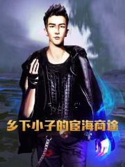 乡下小子的宦海商途阅读