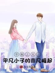 草根之光：平凡小子的非凡崛起最新小说阅读