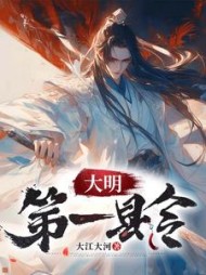 大明第一县令阅读
