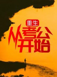 重生：从考公开始周阳