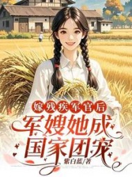 嫁残疾军官后，军嫂她成国家团宠小说阅读