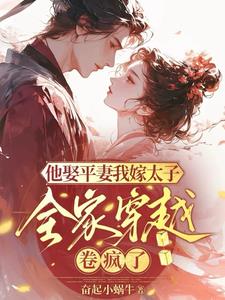 他娶平妻我嫁太子全家穿越卷疯了小说阅读