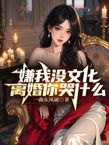 嫌我没文化，离婚你哭什么！阅读小说阅读