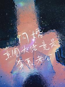 闪婚！京圈大佬竟是爹系老公！阅读小说阅读