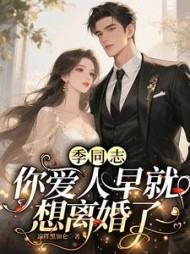 季同志，你爱人早就想离婚了小说阅读