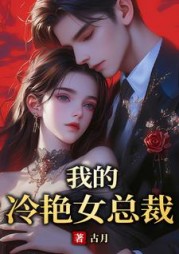 我的冷艳女总裁叶峰