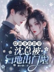 隐藏身份装穷，沈总被扫地出门啦小说阅读