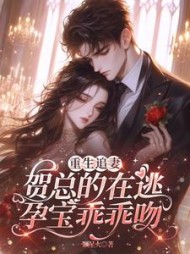 重生追妻，贺总的在逃孕宝乖乖吻小说阅读