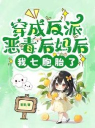 穿成反派恶毒后妈后，我七胞胎了阅读小说阅读