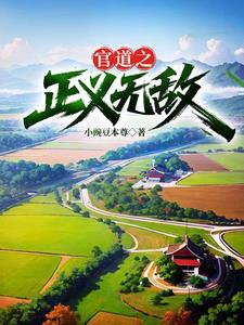 官道之正义无敌阅读