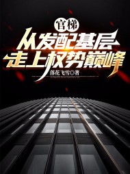 官梯:从发配基层走上权势巅峰完整版