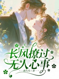 长风撩过无人心事阅读