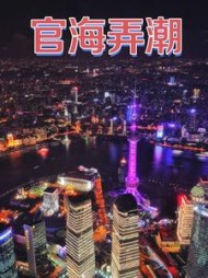 官海弄潮林学民