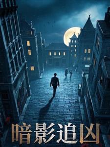 民国奇探之暗影追凶+后续