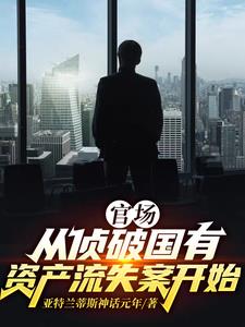 官场：从侦破国有资产流失案开始阅读小说阅读