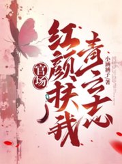 官场：红颜扶我青云志