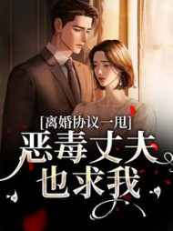 主角是虞婳容砚之的