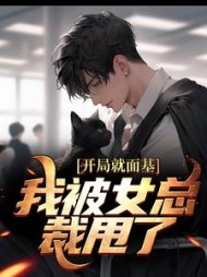 主角是叶青宋瑾瑶的