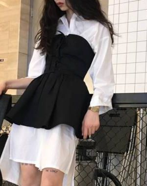 《笨蛋美人总是被坏狗调教（鬼畜坏狗攻x双性美人受）》作者衿白小说阅读