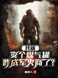 我就卖个煤气罐，咋成军火商了
