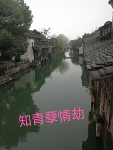 知青孽情劫吴圆圆阅读