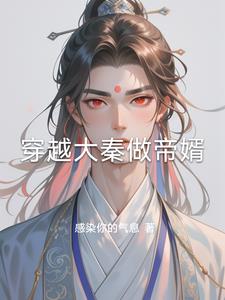 穿越大秦做帝婿阅读