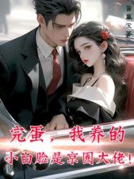 完蛋，我养的小白脸是京圈大佬阅读