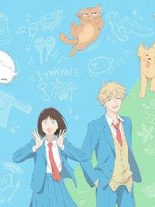 爱是一场关于夏天的盛事