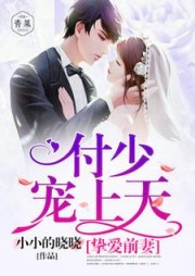 挚爱前妻：付少宠上天安温暖付连城