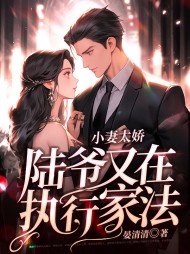 小妻太娇,陆爷又在执行家法结局