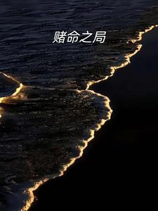 赌命之局江昊精彩