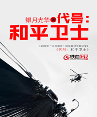 代号:和平卫士小说阅读