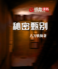 秘密甄别小说阅读