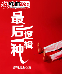 最后一种逻辑小说阅读