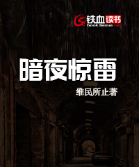 暗夜惊雷小说阅读