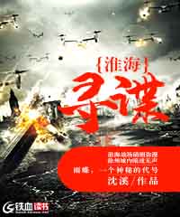 淮海寻谍小说阅读