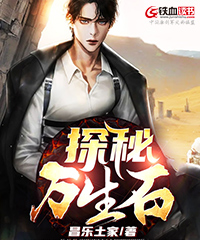 探秘万生石小说阅读
