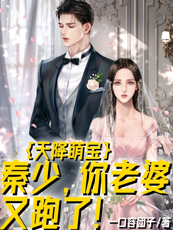 天降萌宝:秦少,你老婆又跑了!小说阅读