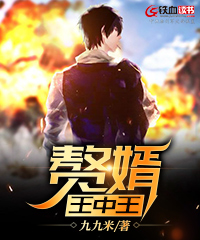 赘婿王中王小说阅读